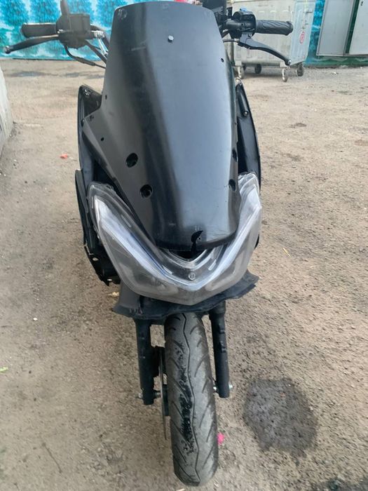 Skuter markasi taygir