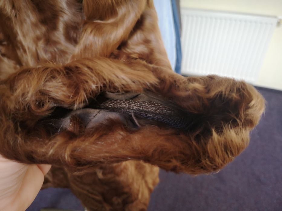 Haină de dama din blana de ied Mongolia