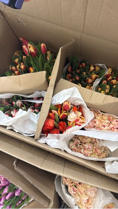 тюльпаны по 350тг
