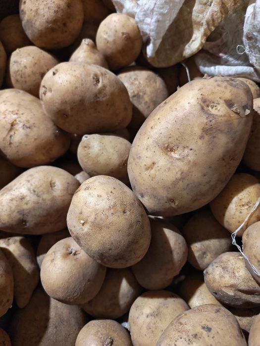 Дом, сад, огород