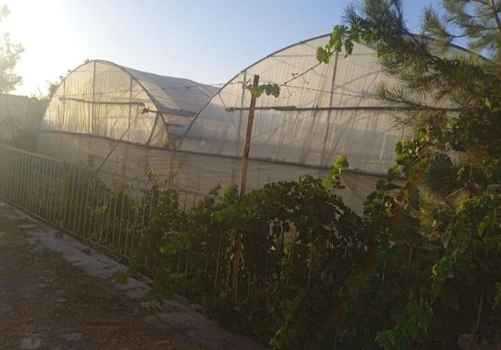 Таер бизнес типлиса сотилади