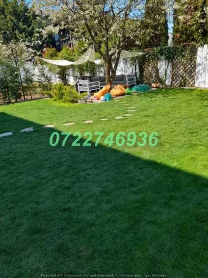 Gazon Premium cu Aspect Natural și Prindere Rapidă