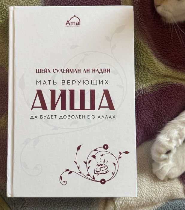 книга в отличном состоянии