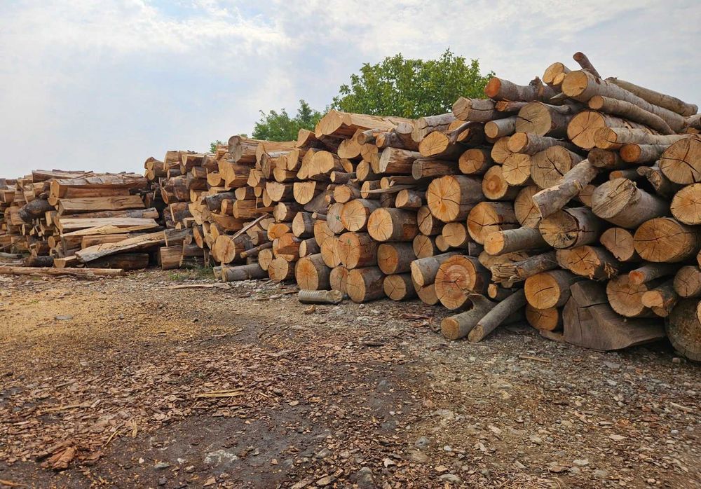 Дърва за огрев от 70€ реален кубик