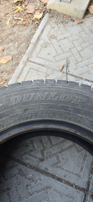 Шины Dunlop зимние