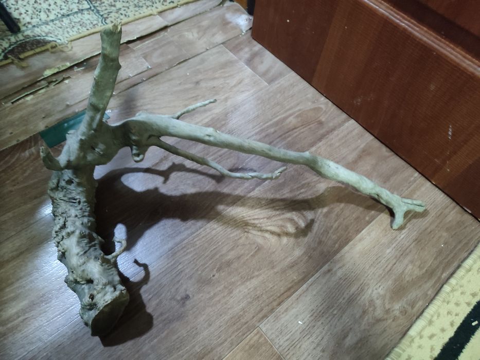 Декор для аквариума