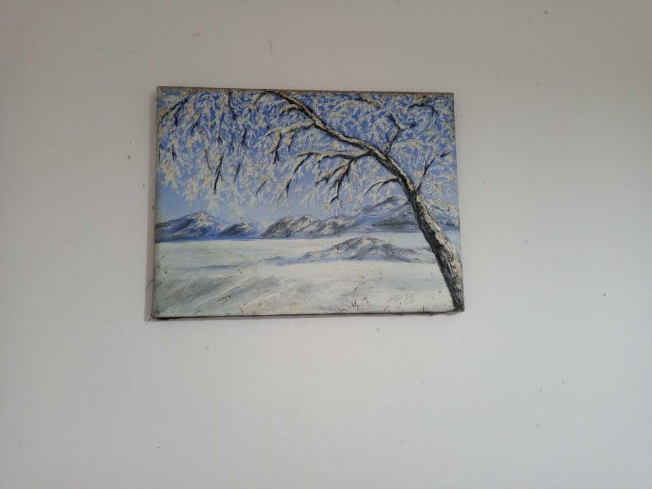 Продавам маслени картини от галерия във Виена 30 лв.бр.