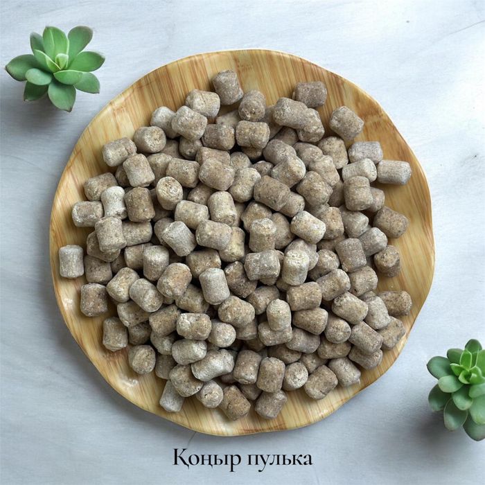 Курт оптом астана караганды