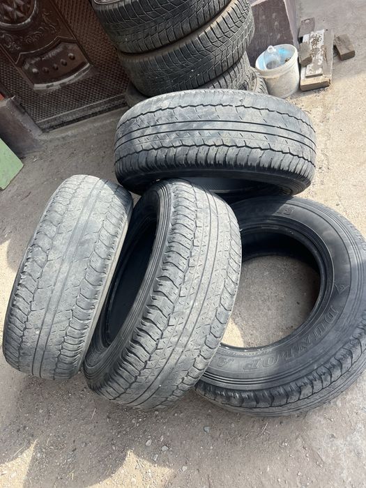 Шины Dunlop от Prado