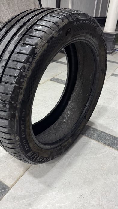 Michelin 21 balin Li zavod balon