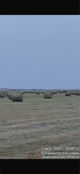 Продам сено с доставкой