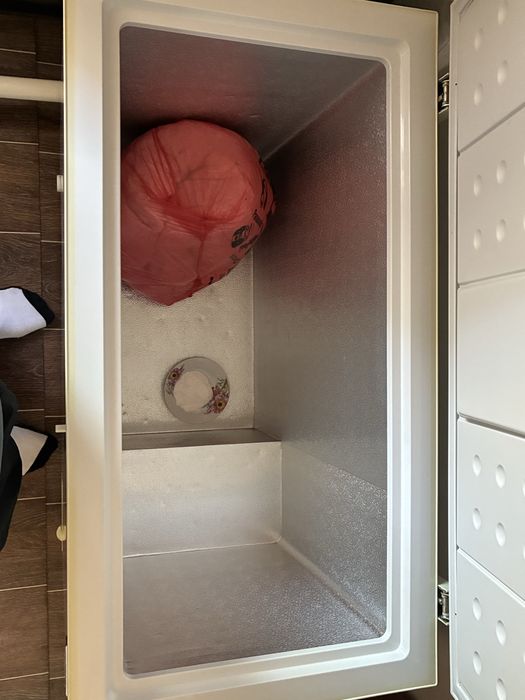 морозелник атлантик