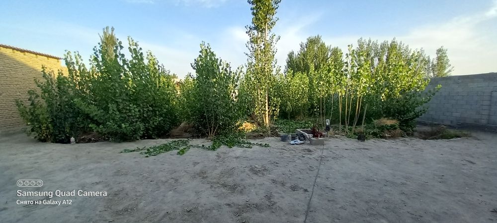 Уй сотилади келишамиз