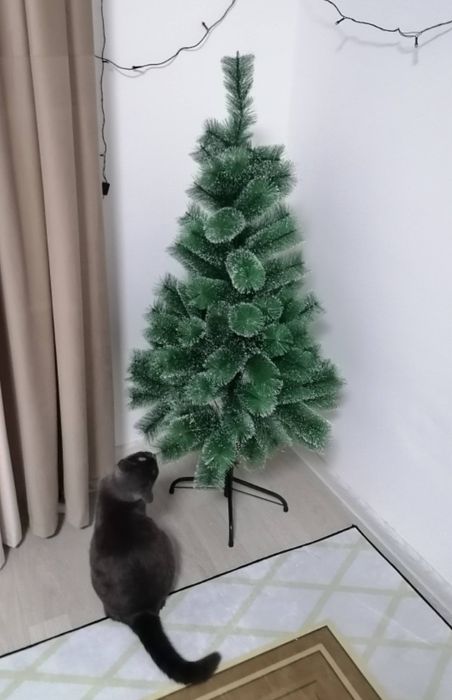 маленькая новогодняя ёлка