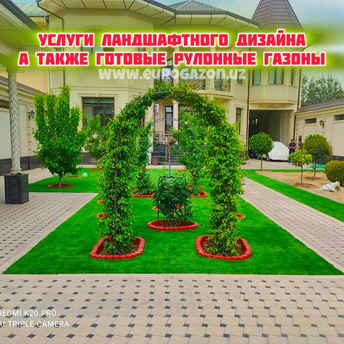 Готовый живой в ташкенте gazon tayyor gazon