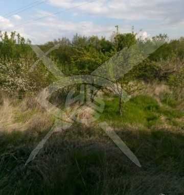 Продава се Къща в с. Сърнегор, Област Пловдив - 40 кв.м за 375 €/кв.м - Снимка #3