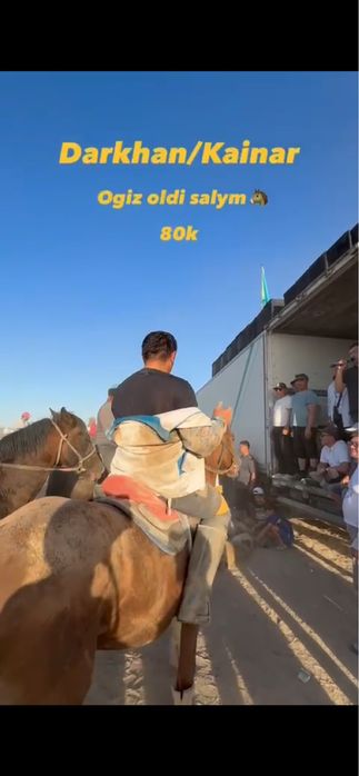 Көкпар аты сатылымда!