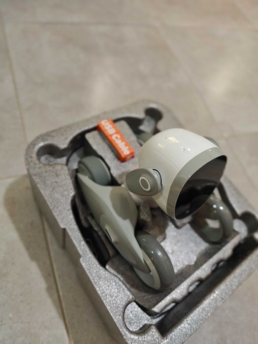 Robot Loona, interactiune inteligenta Chat GPT, recunoastere faciala