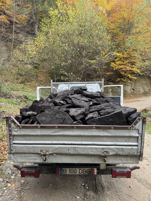 Carbuni Lignit sortat manual fara praf