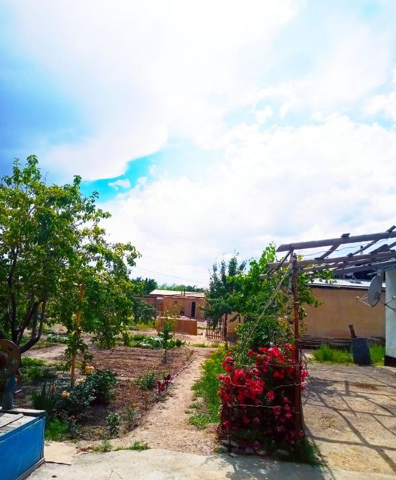 Мамин Хостел (мини-гостиница)