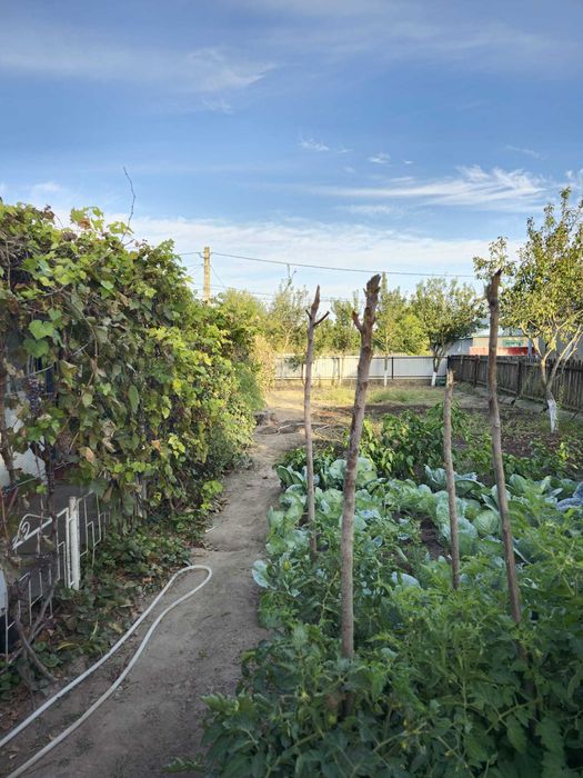 Casă de vânzare în Chilia Veche, Tulcea