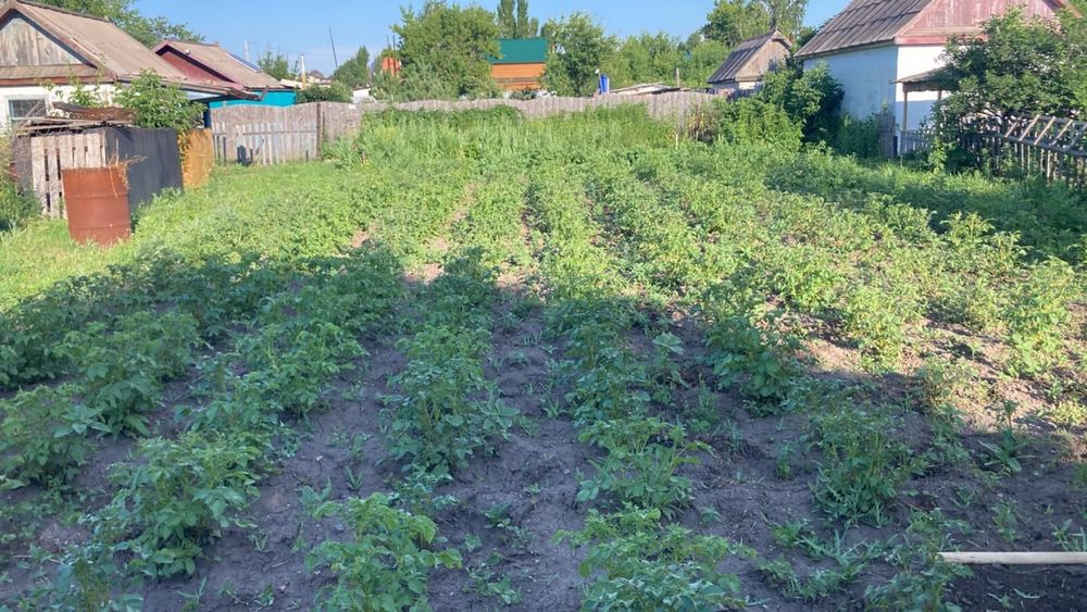 Продам дачу затоболовка
