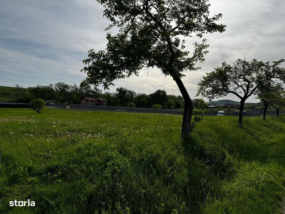 Teren de vânzare – 2.300 mp  Almaș, județul Neamț – zonă centrală