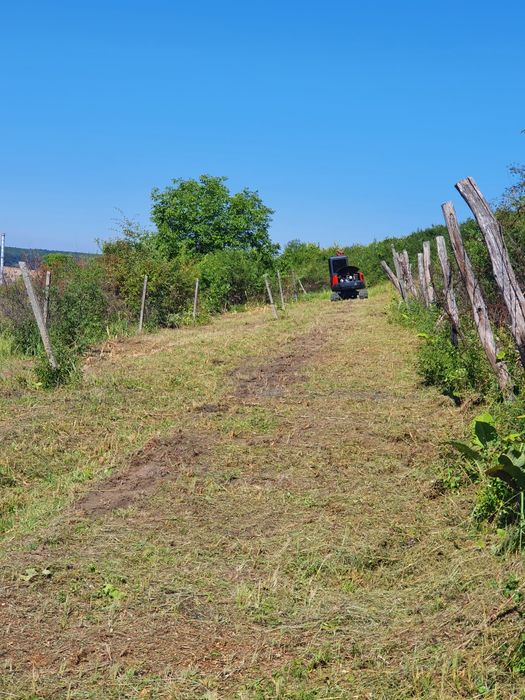 Defrisat tocat curățat terenuri