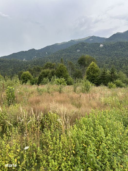 Teren intravilan, 1000 mp, proiect duplex P+E, zona Sinaia - Zamora