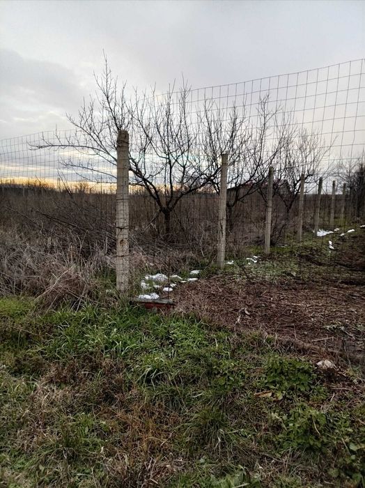 Vand teren intravilan 3000 mp.