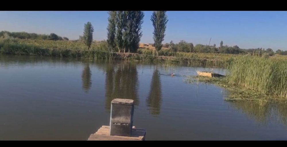 Рыбалка, топчан, мангал, очаг!