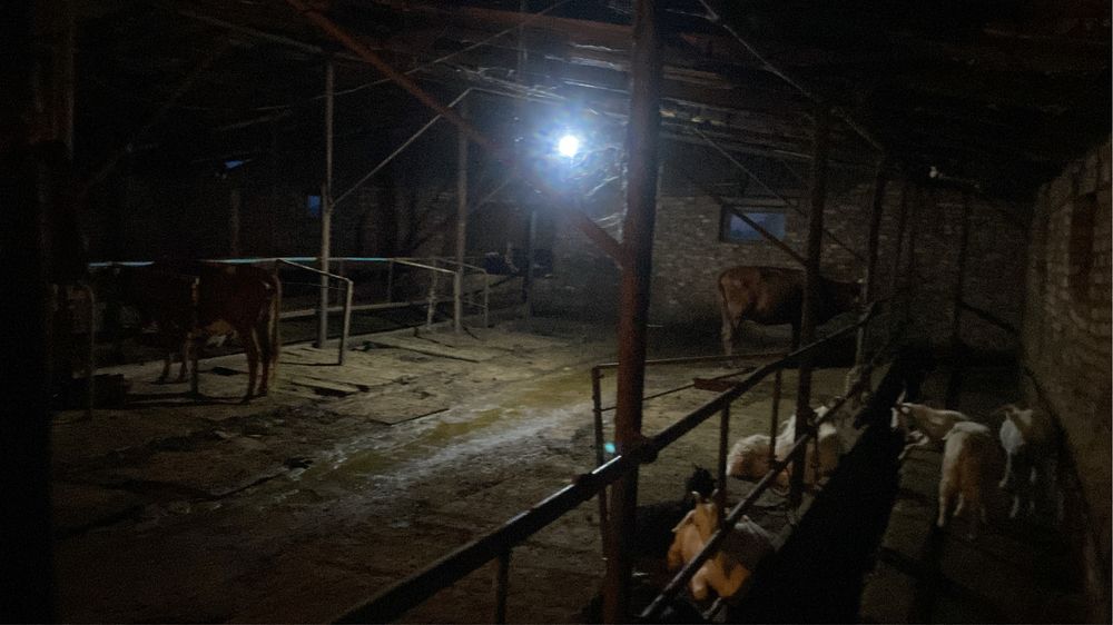 Продается крестьянское хозяйство