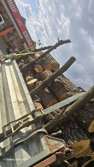 Vand lemn esență tare