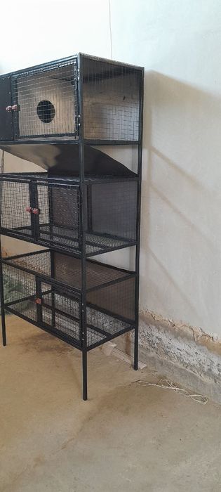 Har Hil Qafas yasiman zakazga