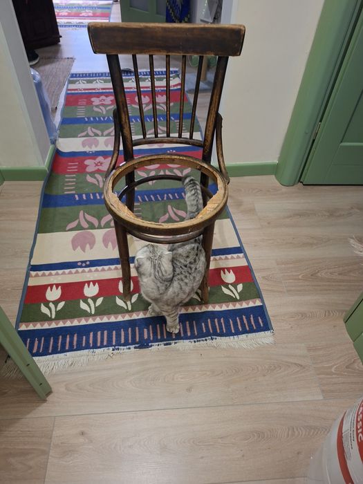 Венский стул под реставрацию