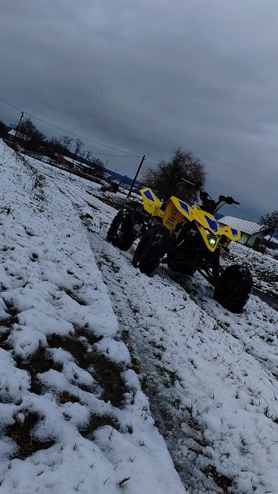 Suzuki LTR 450 cu ACTE