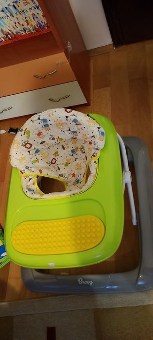 Проходилка (паяк)