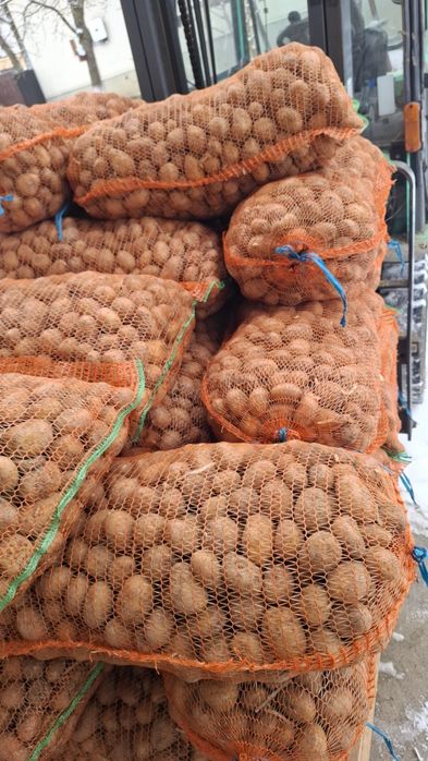 Cartofi de sămânță Arizona, Bellarosa,  cl.B