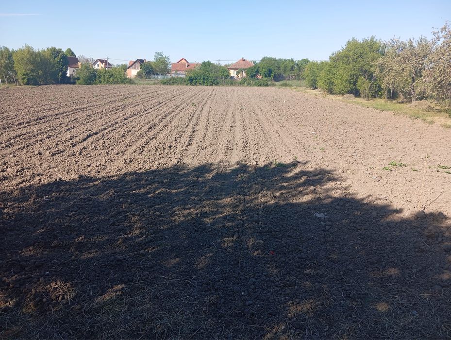 Casa de vanzare sau schimb cu garsoniera in Arad cu posibilitate de dif din partea mea, Misca Arad