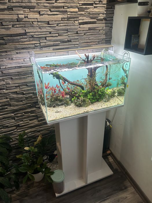 Аквариум с шкаф пълен сет