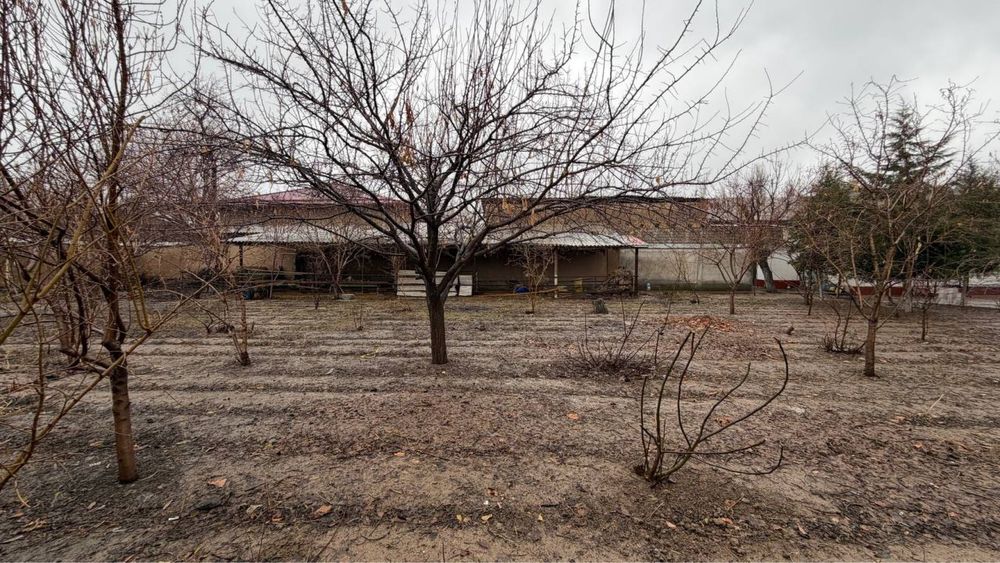 Yer sotiladi yangiyol tinchlik Erkin postdan 9 km 19 sotik 7000 $dan s