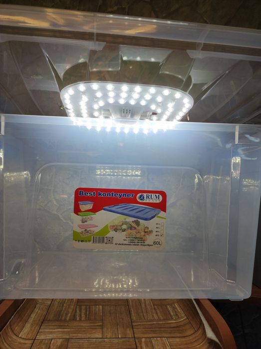 Парник-тепличка для растений