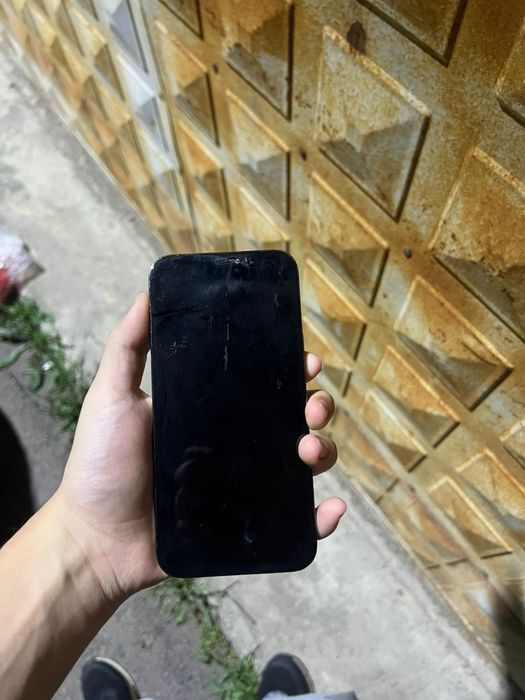 iPhone 12 PRO MAX