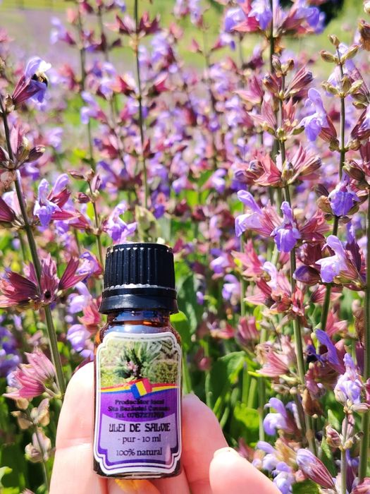 Apă de Salvie (Hidrolat)