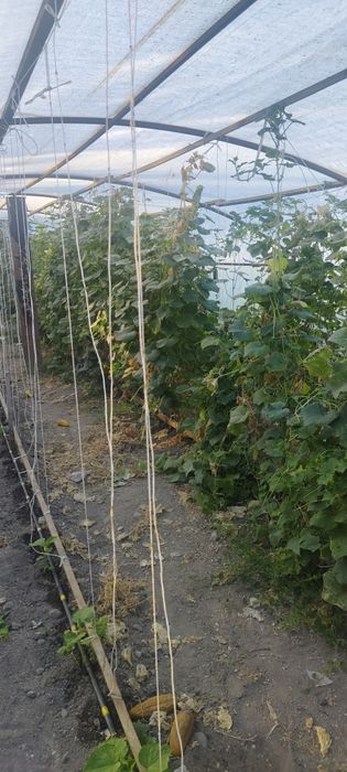 Продам Участок 10 соток