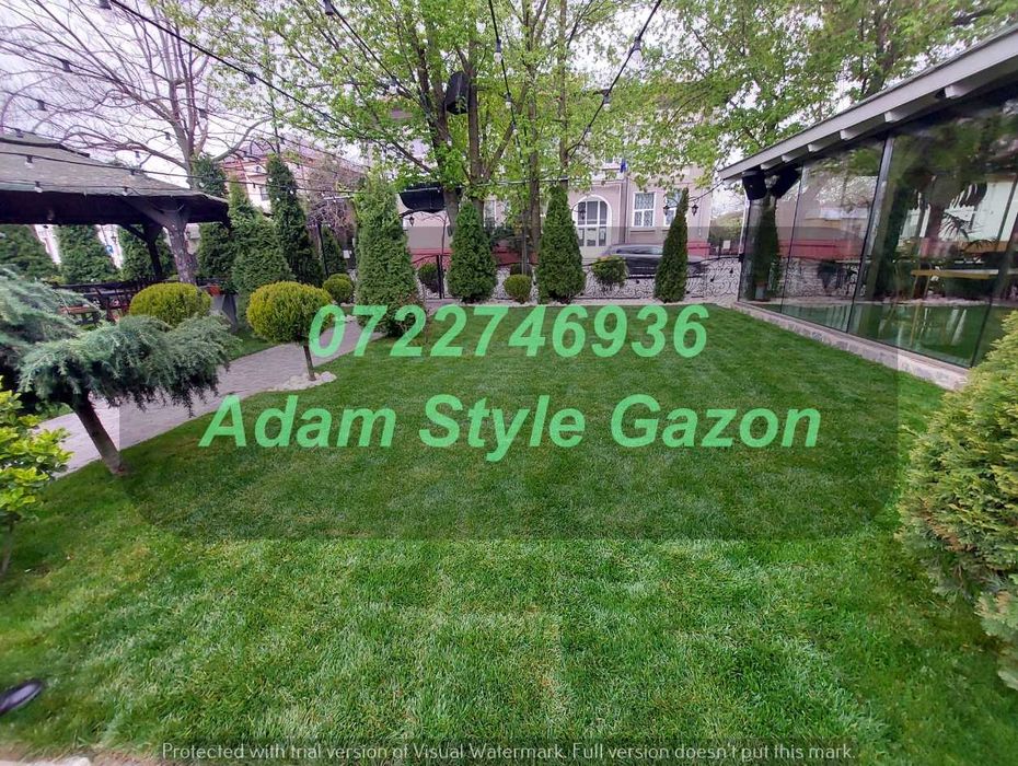 Gazon Natural Rezistent pentru Curți