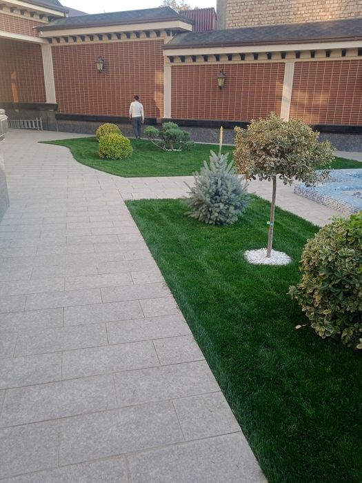 Газон тайори рулон 55000 сум