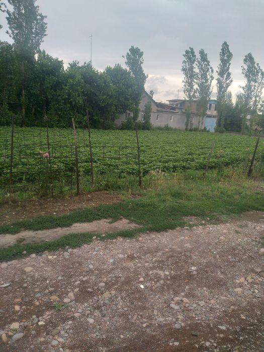 Maydon 5sòtik sròchna sotiladi