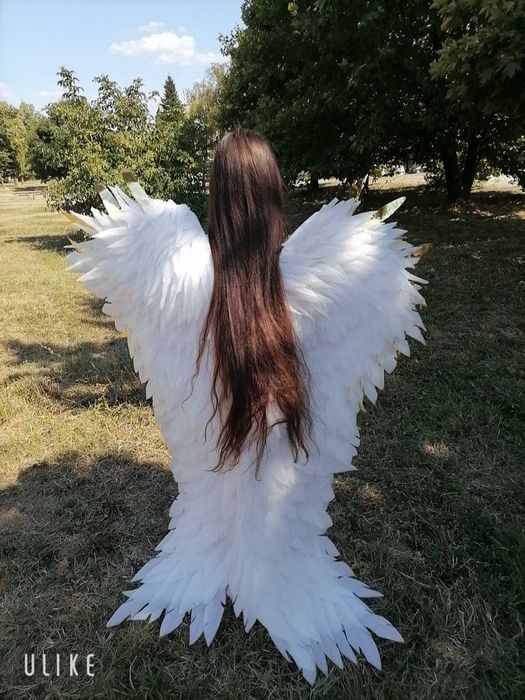 Изработваме Крила за украса и декорация