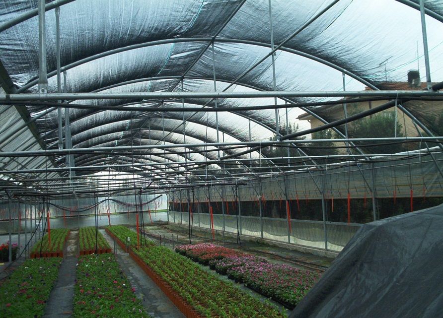 Plasa verde- umbrire 50%, UV- diverse dimensiuni. Ochiuri prindere